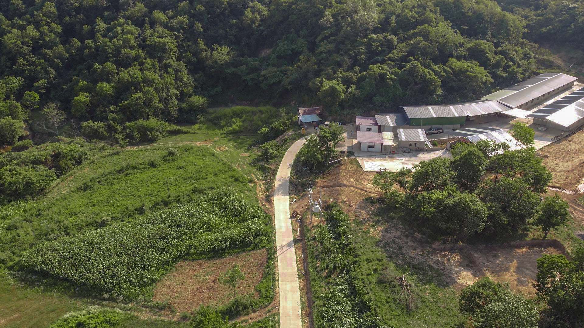 城市建設(shè)學(xué)院鄉(xiāng)村振興實(shí)踐團(tuán)開(kāi)展生態(tài)產(chǎn)業(yè)調(diào)研共助鄉(xiāng)村振興