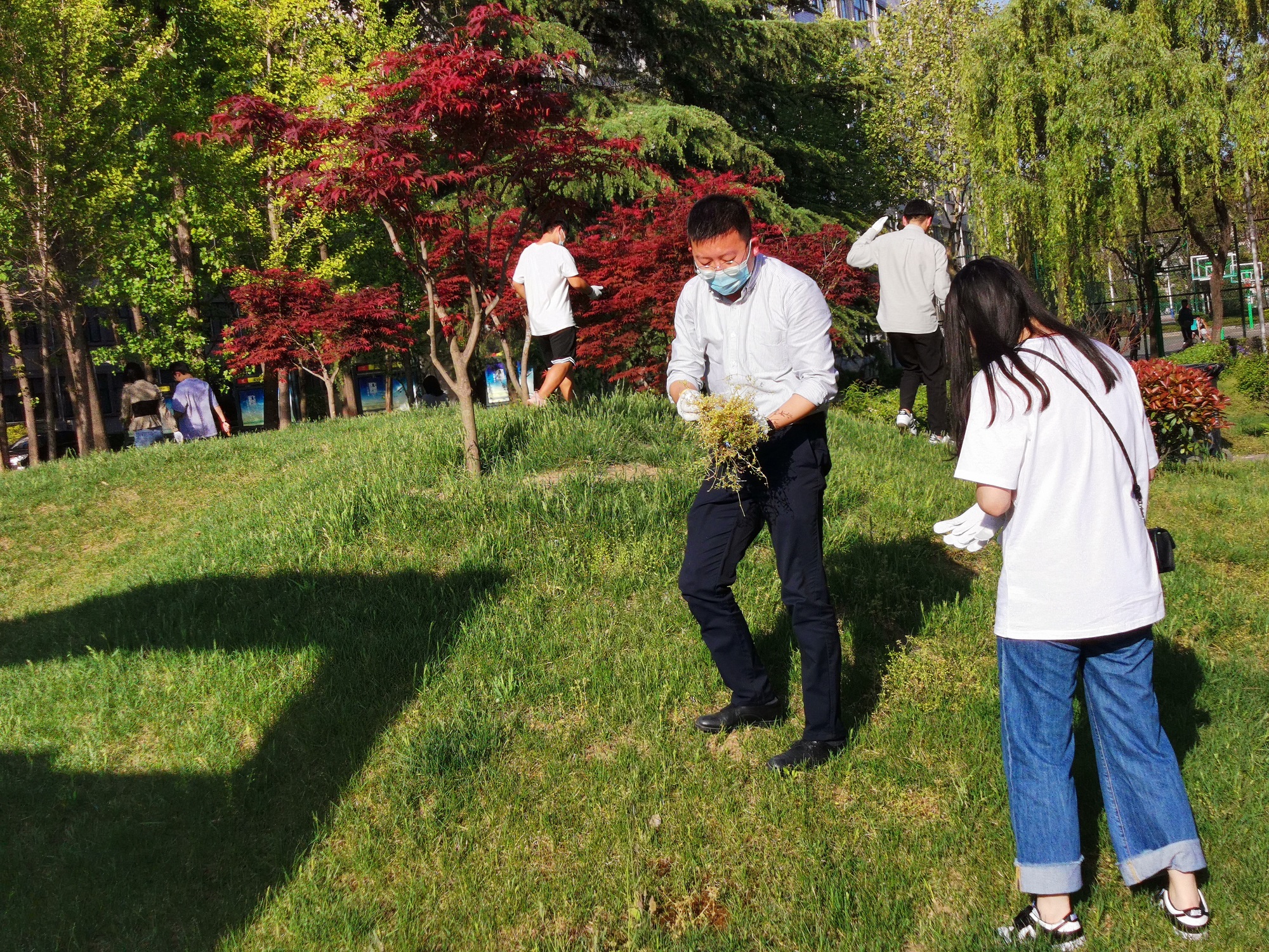 拔草護(hù)綠凈校園，勞動(dòng)實(shí)踐促成長(zhǎng)